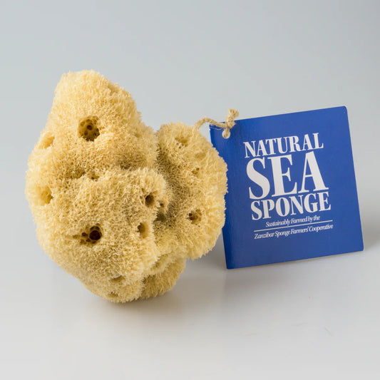 Éponges Naturelles de mer (Zanzibar)