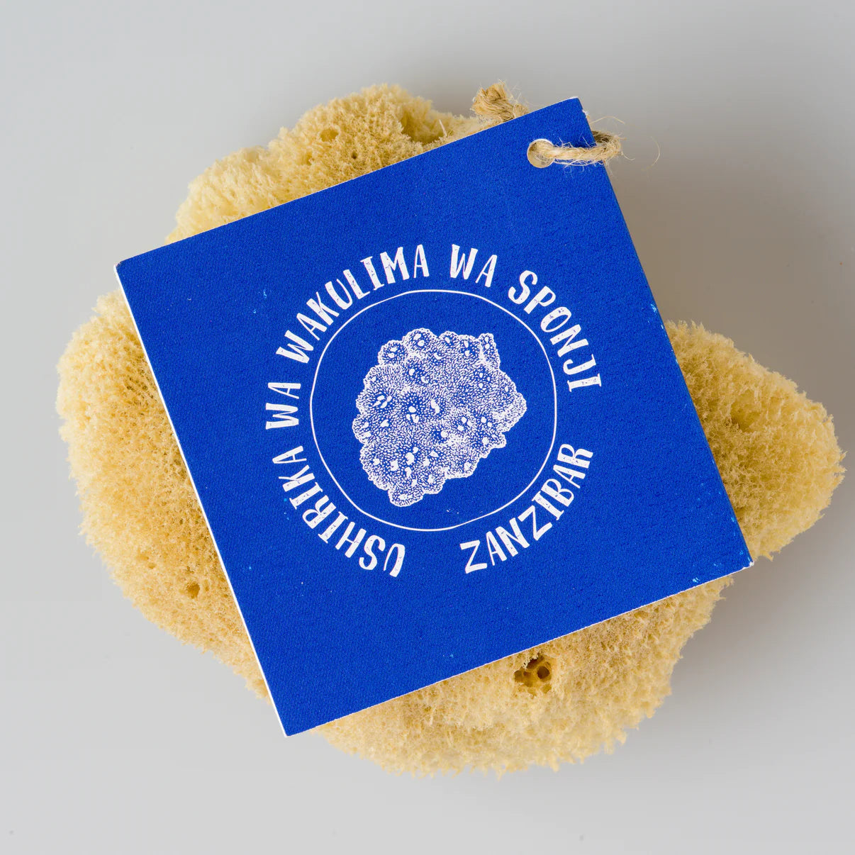 Éponges Naturelles de mer (Zanzibar)